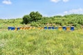 Wooden hives for meadow honey production Royalty Free Stock Photo