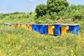 Wooden hives for meadow honey production Royalty Free Stock Photo