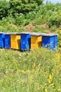 Wooden hives for meadow honey production Royalty Free Stock Photo