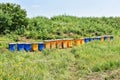 Wooden hives for meadow honey production Royalty Free Stock Photo