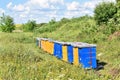 Wooden hives for meadow honey production Royalty Free Stock Photo