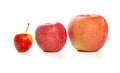 Small and medicum and big size apples on a white background Royalty Free Stock Photo