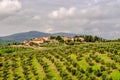 Artimino Tuscany Italy small town among olive trees on the hills Royalty Free Stock Photo
