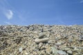 Small mediterranean sea snail, known as Steromphala divaricat