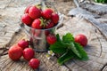 Metal bucket with strawberries in the garden Royalty Free Stock Photo