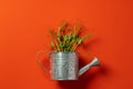 Small metal watering can with bunch of micro green on color background Royalty Free Stock Photo