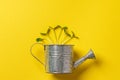 Small metal watering can with bunch of micro green on color background Royalty Free Stock Photo