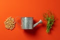 Small metal watering can with bunch of micro green on color background Royalty Free Stock Photo