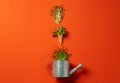 Small metal watering can with bunch of micro green on color background Royalty Free Stock Photo