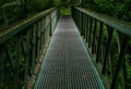 Small metallic bridge in the woods with greenery around Royalty Free Stock Photo