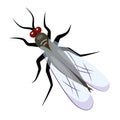 Small midges in cartoon style Buzzing insect midge An annoying blackfly sits with its wings folded Flat vector Cliparts