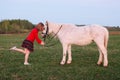 Small model of a young girl put her child in a small white pony Royalty Free Stock Photo