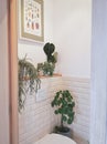 Small modern bathroom with multiple plants. Tropical jungle concept