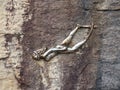 Snorkelling Sculpture, Shelley Beach, Manly, Australia