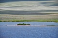 Small Mongolian lake. A flock of gulls sits near the water on the island. Mongolia