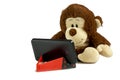 A small monkey sits and stares at a smartphone. Smartphone on a red stand.Isolated photo Royalty Free Stock Photo