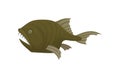 Small monkfish with sharp teeth, side view. Predatory fish. Sea animal. Marine creature. Flat vector design