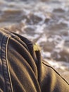 A small moth perched on a denim jacket with the ocean at background Royalty Free Stock Photo