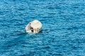 Small Motor Boat with a Man on Board Moving in the Mediterranean Sea Royalty Free Stock Photo