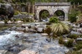 Small mountain bridge over a creek from the Peneda Geres National Park, north of Portugal