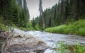 Small mountain creek in the forest Royalty Free Stock Photo