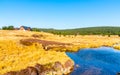 Small mountain creek meandering in the middle of meadows and forest. Sunny day with blue sky and white clouds in Jizera Royalty Free Stock Photo