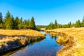 Small mountain creek meandering in the middle of meadows and forest. Sunny day with blue sky and white clouds in Jizera Royalty Free Stock Photo