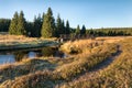 Small mountain creek in the middle of green meadows and spruce forest, Jizera Mountains, Czech Republic Mountain village Jizerka Royalty Free Stock Photo