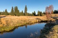 Small mountain creek in the middle of green meadows and spruce forest, Jizera Mountains, Czech Republic Mountain village Jizerka Royalty Free Stock Photo