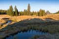 Small mountain creek in the middle of green meadows and spruce forest, Jizera Mountains, Czech Republic Mountain village Jizerka Royalty Free Stock Photo