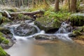 Small mountain creek in a woodland Royalty Free Stock Photo