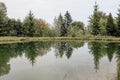 Small mountain lake. Fir trees are reflected in the water. A pond in the forest, a calm summer landscape. Royalty Free Stock Photo