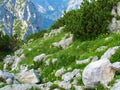 Small mountain meadow below Debela pec