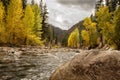 Small mountain river in the fall Royalty Free Stock Photo