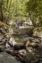 Small mountain river in the forest on a sunny day Greece, Andros Island, Cyclades Royalty Free Stock Photo