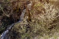 Small mountain river on a sunny day Greece, Peloponnese Royalty Free Stock Photo