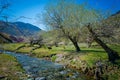 Small mountain stream among the flowering hills and mountains covered with forest. Old trees on the river`s shore Royalty Free Stock Photo