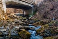 Small mountain stream Royalty Free Stock Photo