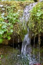 A small mountain stream flows down the slope over grass and moss Royalty Free Stock Photo