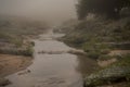 small mountain stream in the fog