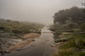 small mountain stream in the fog