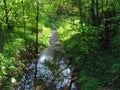 Small mountain stream in the forest, illuminated by the afternoon sun, reflection of trees on water surface Royalty Free Stock Photo