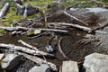 A small mountain stream made from melting snow