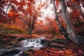 Red Foggy Thicket. Scenic Misty Forest Autumn Landscape. Beautiful Stream In The Forest With Red Foliage.Trees With Red Leaves.Sto