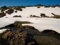 Small mountain stream under a thin layer of snow Royalty Free Stock Photo