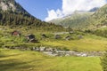 Small mountain village nestled in the green Swiss mountains