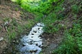 Small mountain water stream, flowing through woods Royalty Free Stock Photo