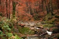 Small mountain waterfall in autumn. A beautiful landscape full of peace. Royalty Free Stock Photo