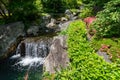 Small mountain waterfall on the rocks covered with moss deep in Royalty Free Stock Photo