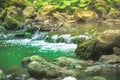 Small mountain waterfall on the rocks covered with moss deep in the forest Royalty Free Stock Photo